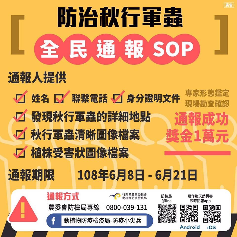 防治秋行軍蟲 全民通報SOP